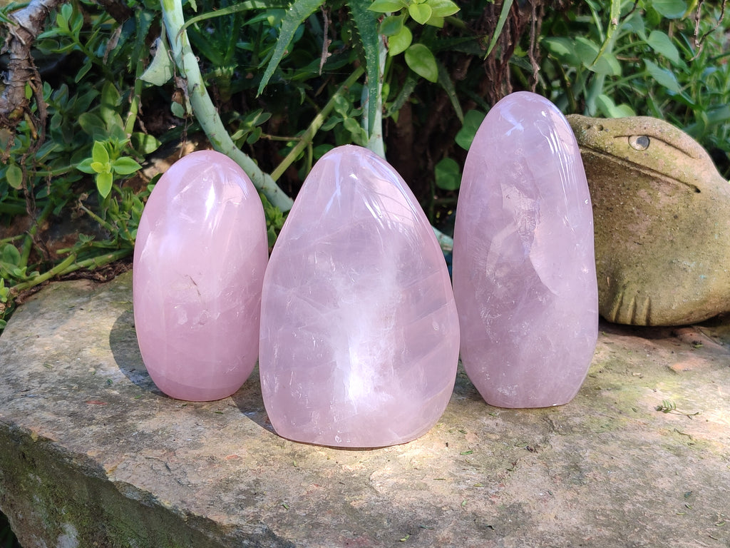 Polished Rose Quartz Standing Free Forms x 3 From Ambatondrazaka, Madagascar - Toprock Gemstones and Minerals 