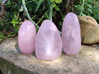 Polished Rose Quartz Standing Free Forms x 3 From Ambatondrazaka, Madagascar - Toprock Gemstones and Minerals 
