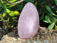Polished Rose Quartz Standing Free Forms x 3 From Ambatondrazaka, Madagascar
