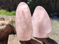 Polished Rose Quartz Standing Free Forms x 3 From Ambatondrazaka, Madagascar