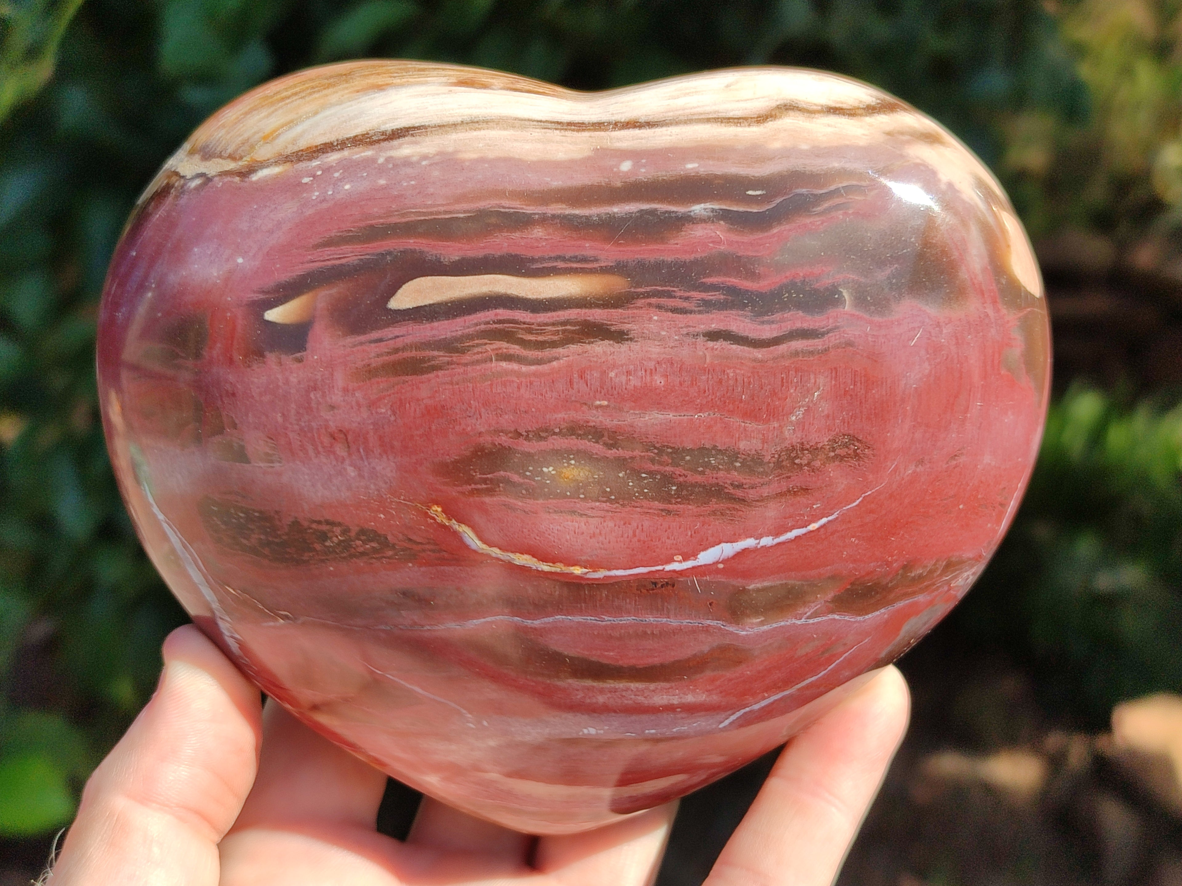 Polished Podocarpus Petrified Wood Hearts x 2 From Mahajanga, Madagascar - Toprock Gemstones and Minerals 