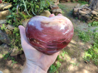 Polished Podocarpus Petrified Wood Hearts x 2 From Mahajanga, Madagascar