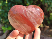 Polished Podocarpus Petrified Wood Hearts x 2 From Mahajanga, Madagascar