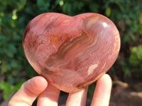 Polished Podocarpus Petrified Wood Hearts x 2 From Mahajanga, Madagascar