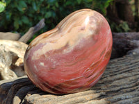Polished Podocarpus Petrified Wood Hearts x 2 From Mahajanga, Madagascar