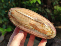Polished Podocarpus Petrified Wood Hearts x 2 From Mahajanga, Madagascar