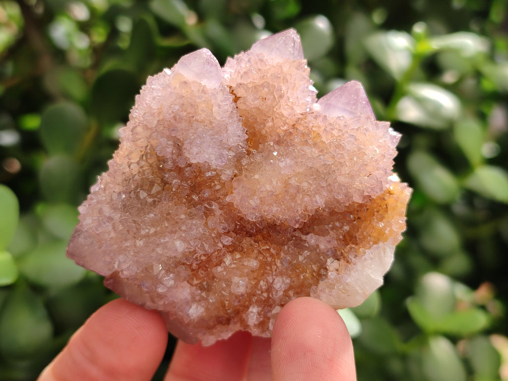 Natural Amethyst Cactus Spirit Quartz Clusters x 12 From Boekenhouthoek, South Africa - Toprock Gemstones and Minerals 