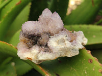 Natural Amethyst Cactus Spirit Quartz Clusters x 12 From Boekenhouthoek, South Africa