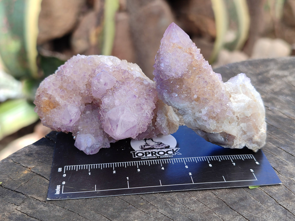 Natural Amethyst Cactus Spirit Quartz Clusters x 12 From Boekenhouthoek, South Africa - Toprock Gemstones and Minerals 