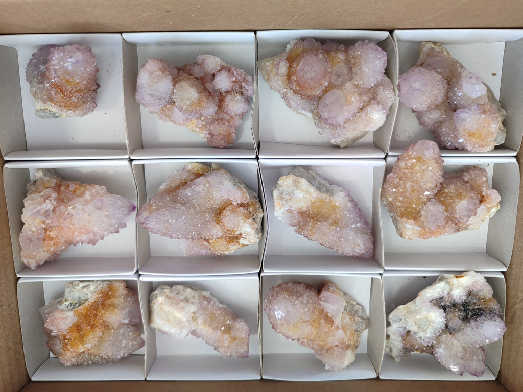 Natural Amethyst Cactus Spirit Quartz Clusters x 12 From Boekenhouthoek, South Africa - Toprock Gemstones and Minerals 