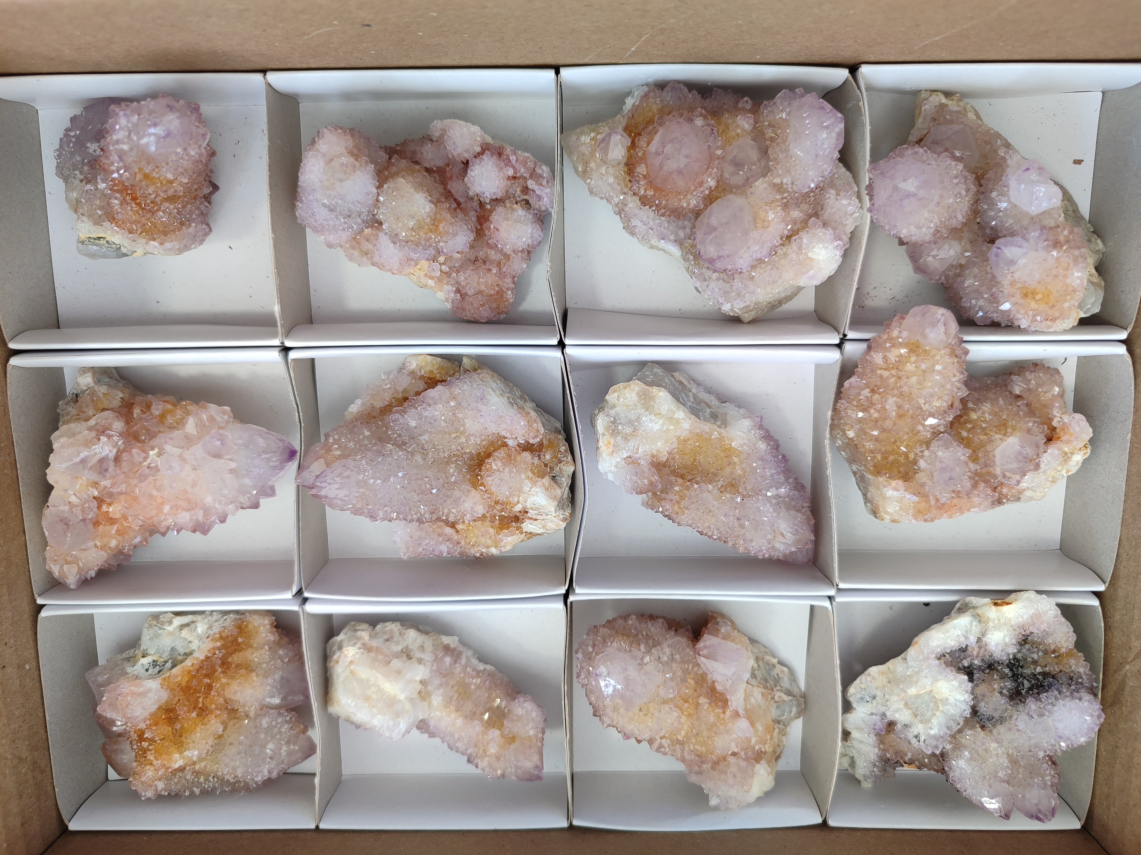 Natural Amethyst Cactus Spirit Quartz Clusters x 12 From Boekenhouthoek, South Africa - Toprock Gemstones and Minerals 