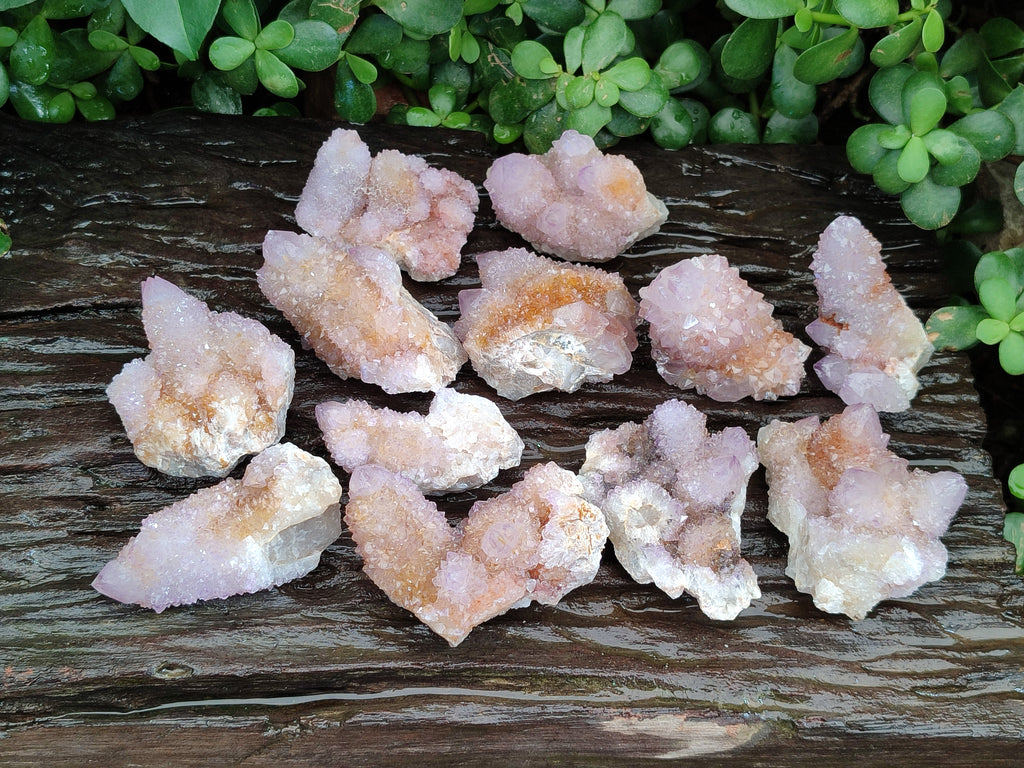 Natural Amethyst Cactus Spirit Quartz Clusters x 12 From Boekenhouthoek, South Africa - Toprock Gemstones and Minerals 