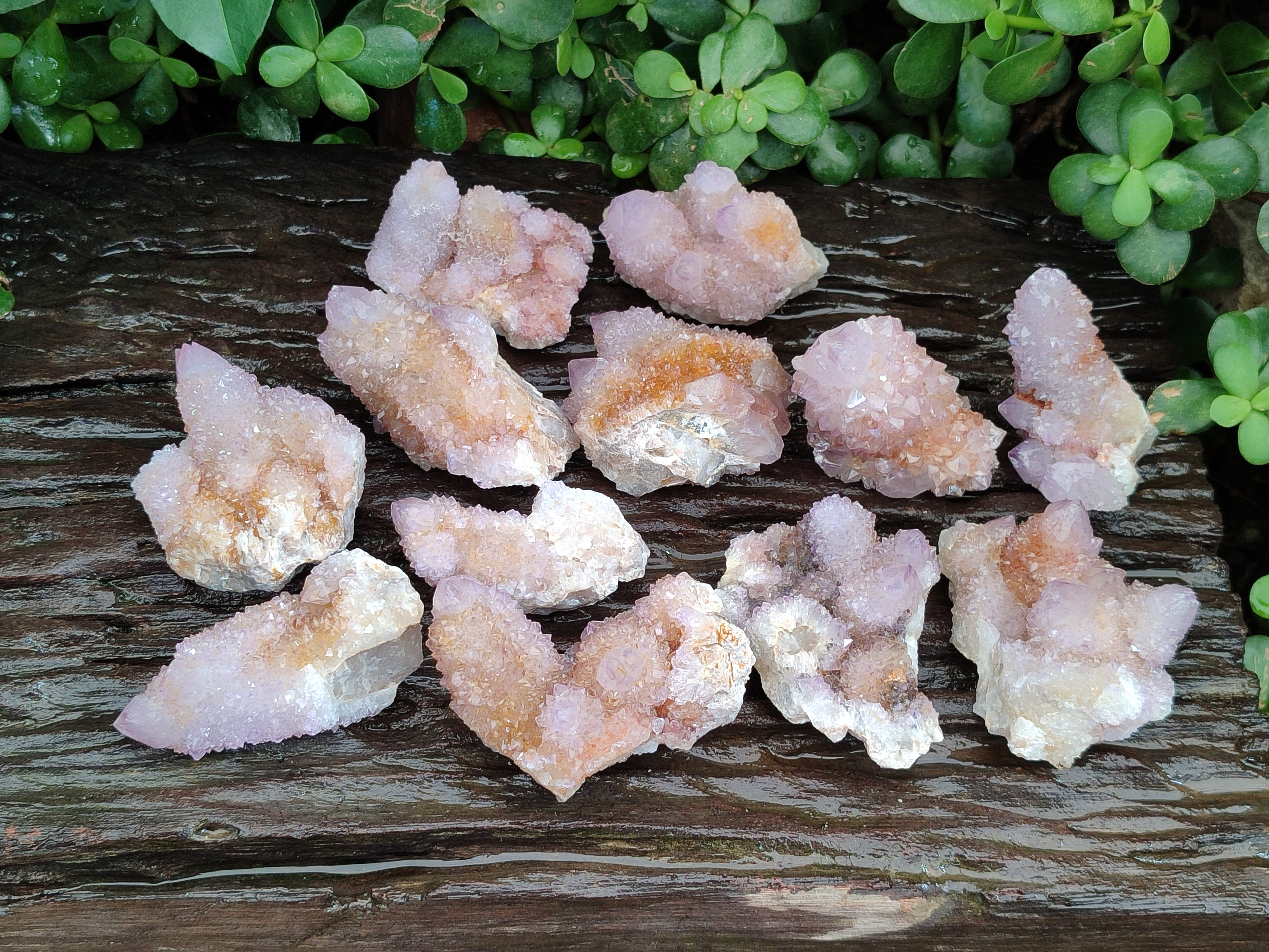 Natural Amethyst Cactus Spirit Quartz Clusters x 12 From Boekenhouthoek, South Africa - Toprock Gemstones and Minerals 