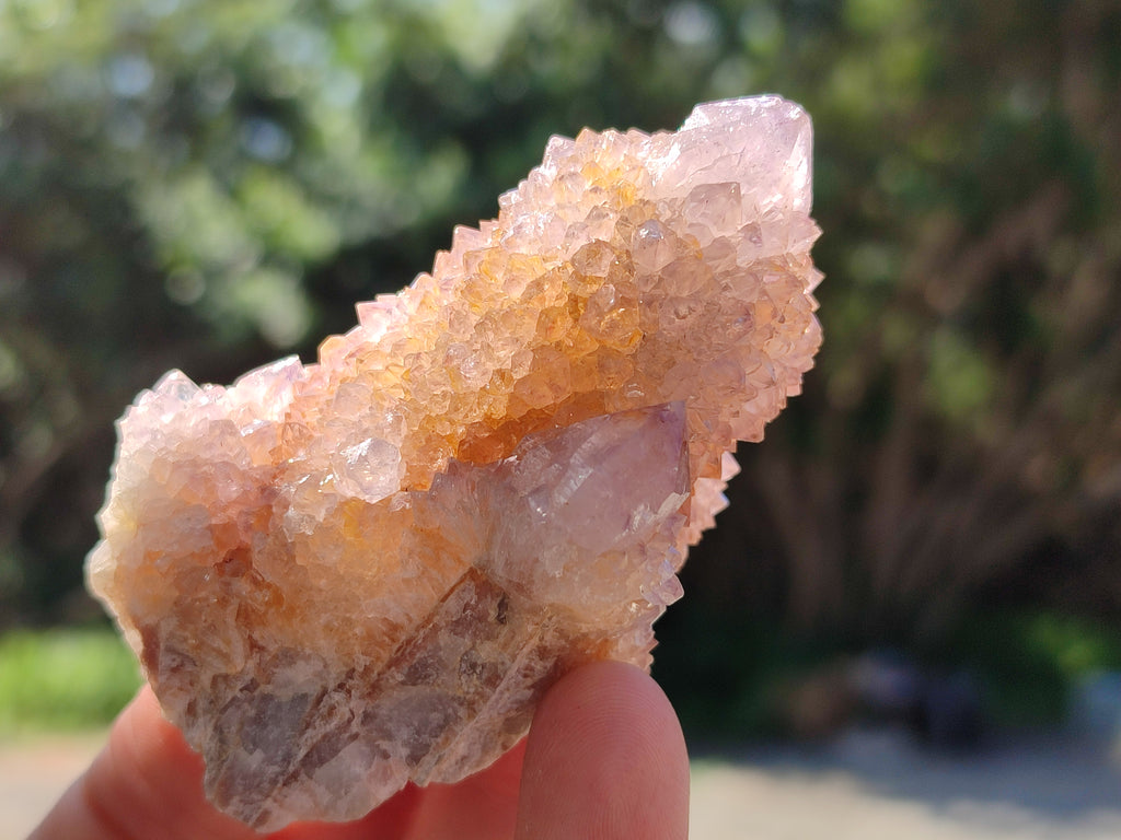 Natural Amethyst Cactus Spirit Quartz Clusters x 12 From Boekenhouthoek, South Africa - Toprock Gemstones and Minerals 