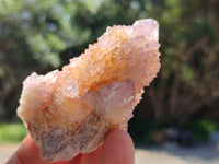Natural Amethyst Cactus Spirit Quartz Clusters x 12 From Boekenhouthoek, South Africa