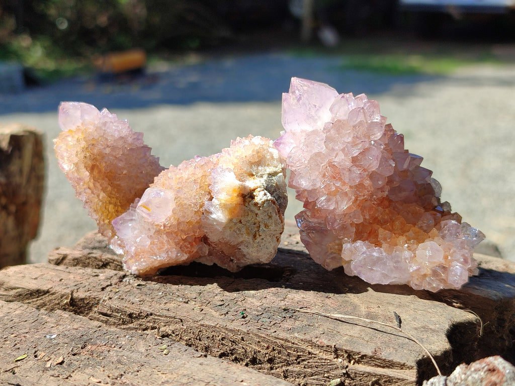 Natural Amethyst Cactus Spirit Quartz Clusters x 12 From Boekenhouthoek, South Africa - Toprock Gemstones and Minerals 