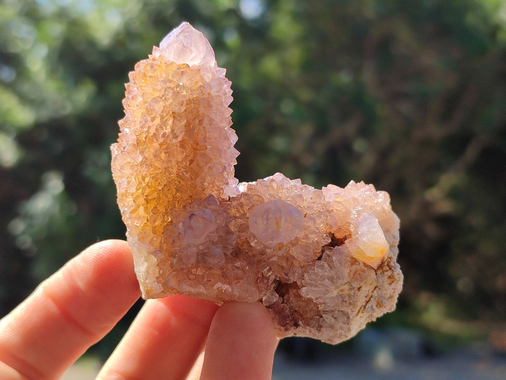 Natural Amethyst Cactus Spirit Quartz Clusters x 12 From Boekenhouthoek, South Africa - Toprock Gemstones and Minerals 