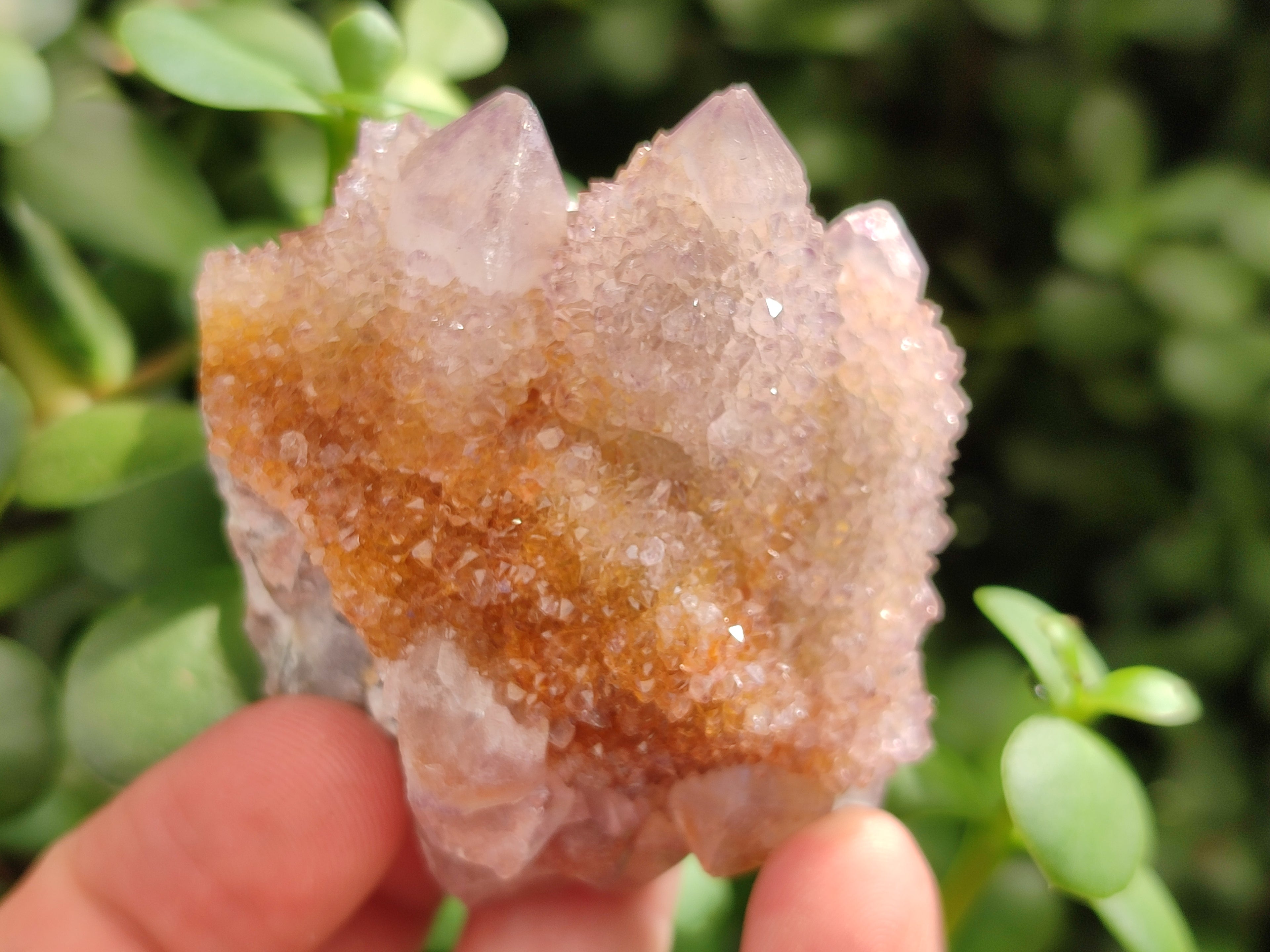 Natural Amethyst Cactus Spirit Quartz Clusters x 12 From Boekenhouthoek, South Africa - Toprock Gemstones and Minerals 