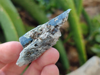 Natural Kyanite Crystals x 1.53 Kg Lot From Karoi, Zimbabwe - Toprock Gemstones and Minerals 