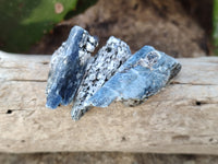 Natural Kyanite Crystals x 1.53 Kg Lot From Karoi, Zimbabwe - Toprock Gemstones and Minerals 