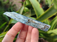 Natural Kyanite Crystals x 1.53 Kg Lot From Karoi, Zimbabwe - Toprock Gemstones and Minerals 