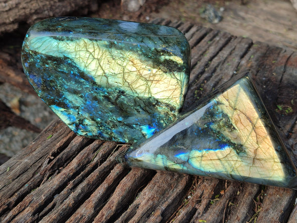 Polished Labradorite Standing Free Forms x 2 From Tulear, Madagascar