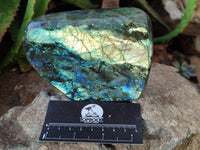 Polished Labradorite Standing Free Forms x 2 From Tulear, Madagascar