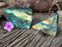Polished Labradorite Standing Free Forms x 2 From Tulear, Madagascar