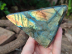 Polished Labradorite Standing Free Forms x 2 From Tulear, Madagascar - Toprock Gemstones and Minerals 