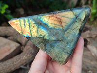 Polished Labradorite Standing Free Forms x 2 From Tulear, Madagascar