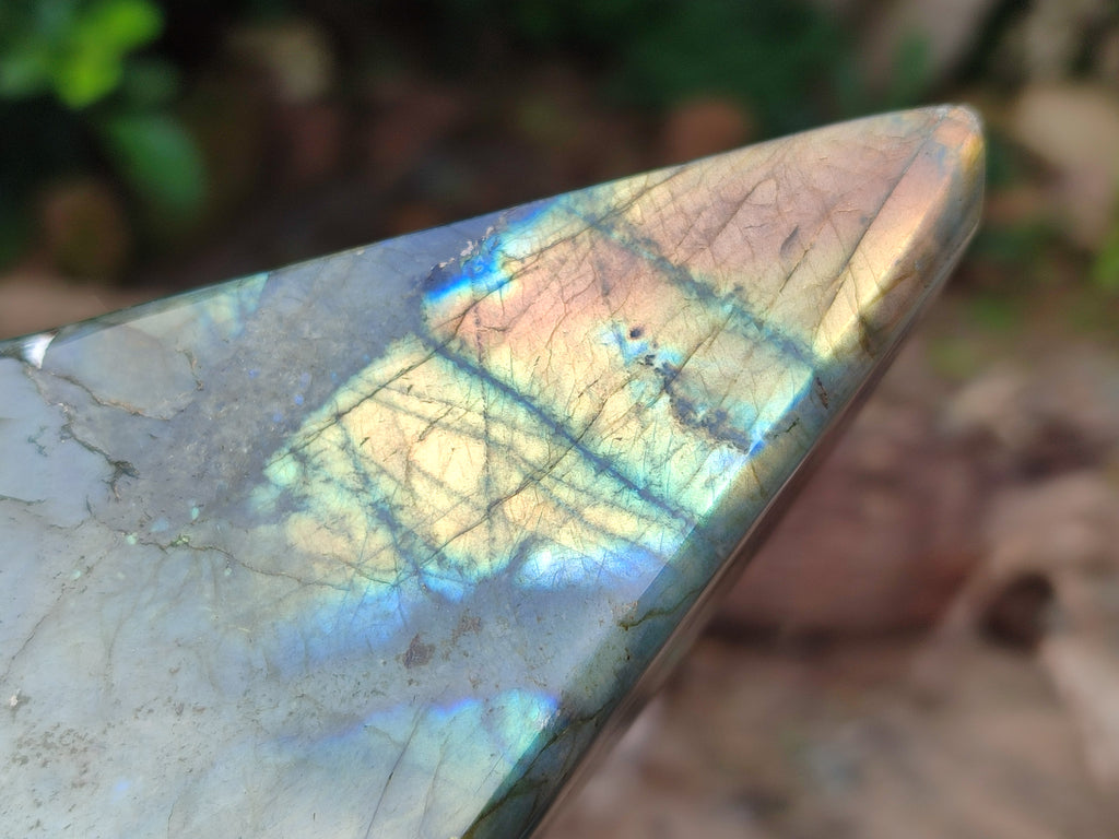 Polished Labradorite Standing Free Forms x 2 From Tulear, Madagascar - Toprock Gemstones and Minerals 