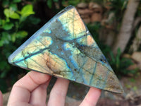 Polished Labradorite Standing Free Forms x 2 From Tulear, Madagascar