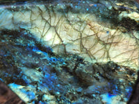 Polished Labradorite Standing Free Forms x 2 From Tulear, Madagascar