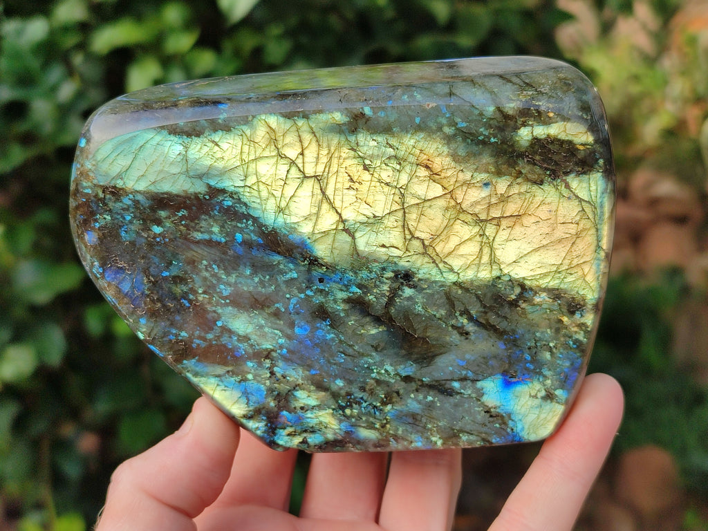 Polished Labradorite Standing Free Forms x 2 From Tulear, Madagascar - Toprock Gemstones and Minerals 