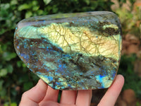 Polished Labradorite Standing Free Forms x 2 From Tulear, Madagascar