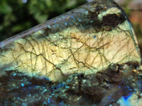 Polished Labradorite Standing Free Forms x 2 From Tulear, Madagascar