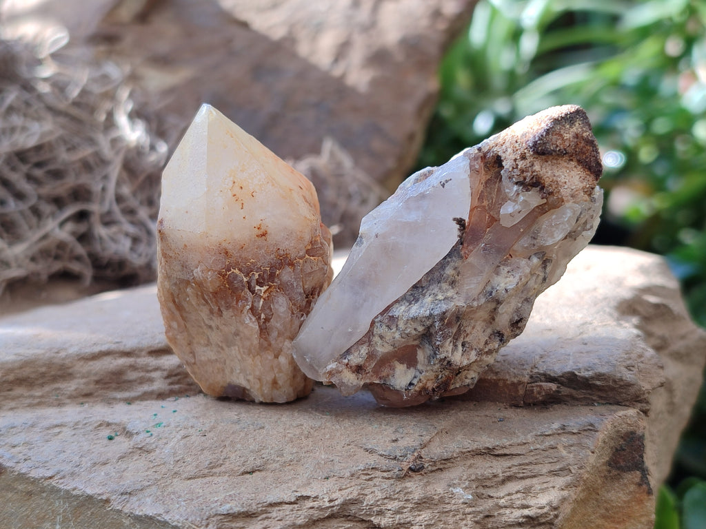 Natural White Single Quartz Crystals x 35 From Madagascar - Toprock Gemstones and Minerals 