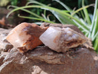 Natural White Single Quartz Crystals x 35 From Madagascar - Toprock Gemstones and Minerals 
