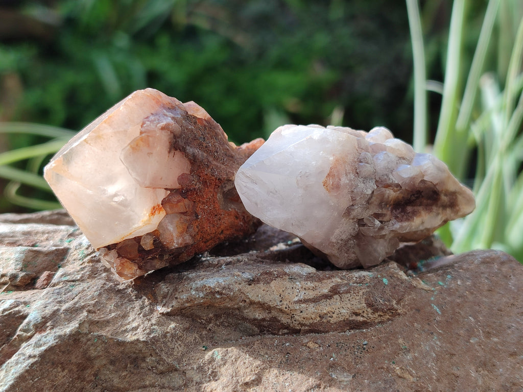 Natural White Single Quartz Crystals x 35 From Madagascar - Toprock Gemstones and Minerals 