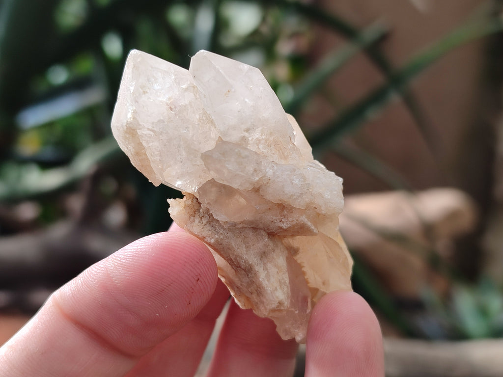 Natural White Single Quartz Crystals x 35 From Madagascar - Toprock Gemstones and Minerals 