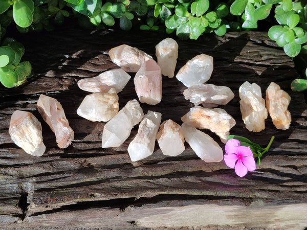 Natural White Single Quartz Crystals x 35 From Madagascar