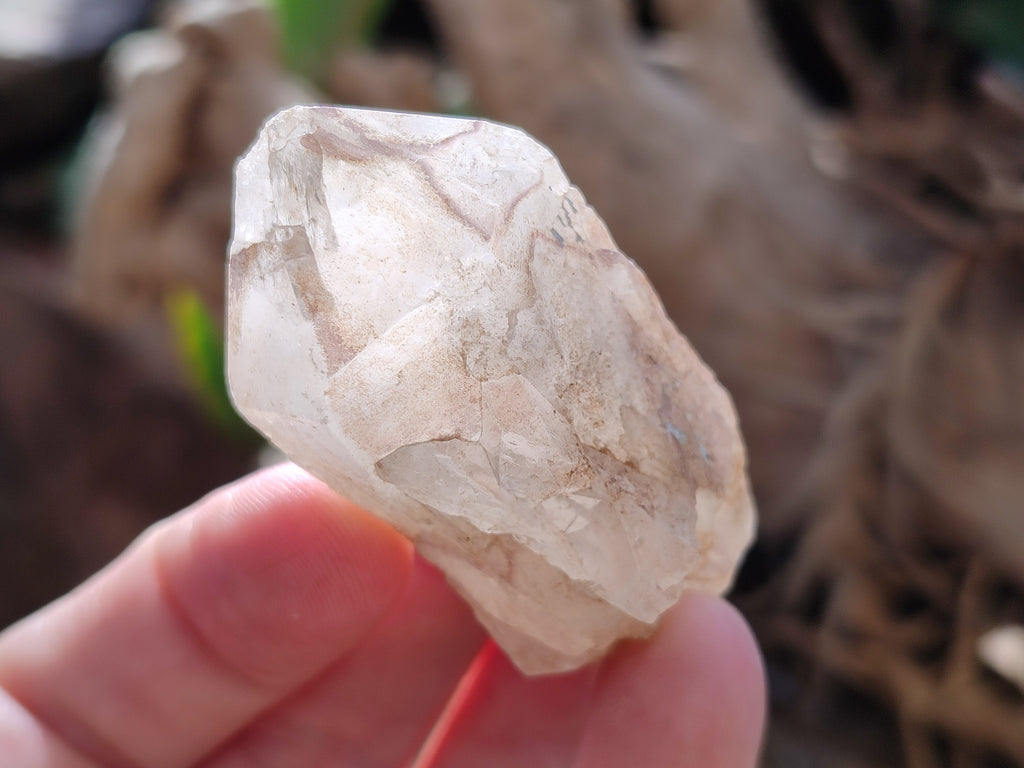 Natural White Single Quartz Crystals x 35 From Madagascar - Toprock Gemstones and Minerals 