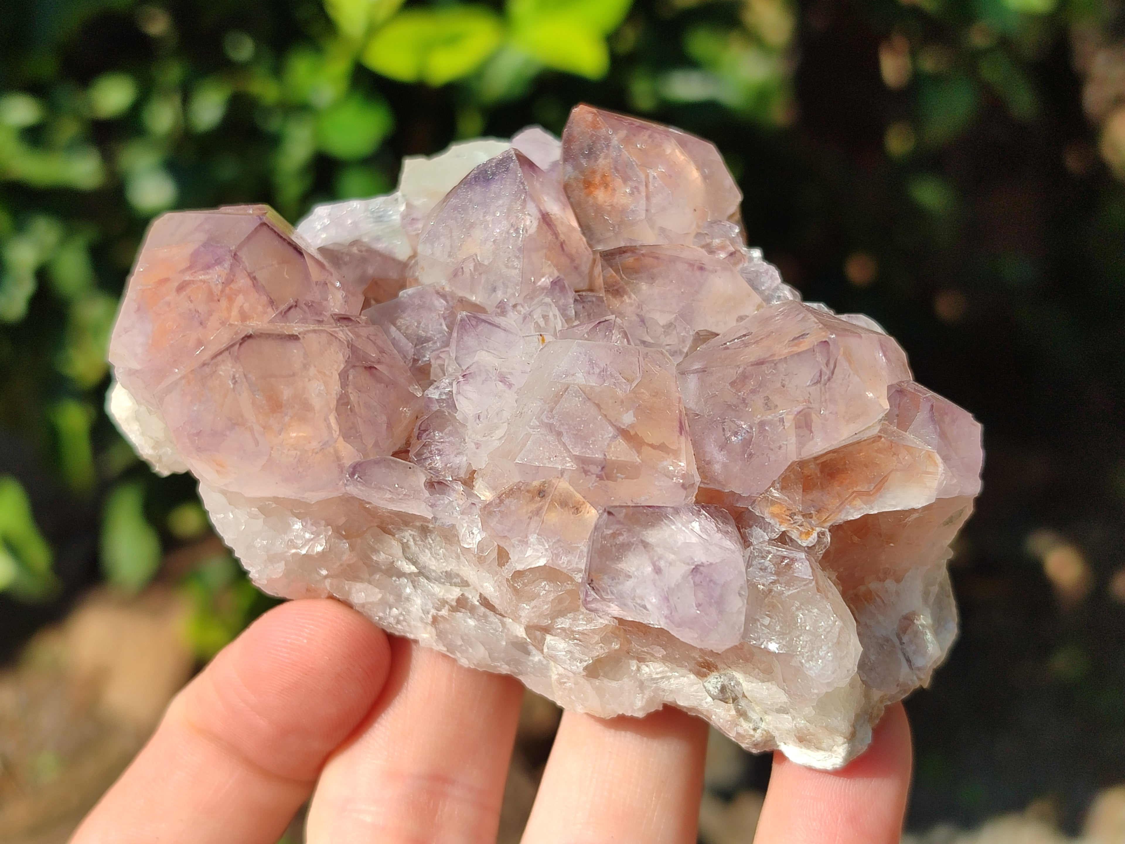 Natural Dark Amethyst Spirit Quartz Clusters x 3 From Boekenhouthoek, South Africa - Toprock Gemstones and Minerals 
