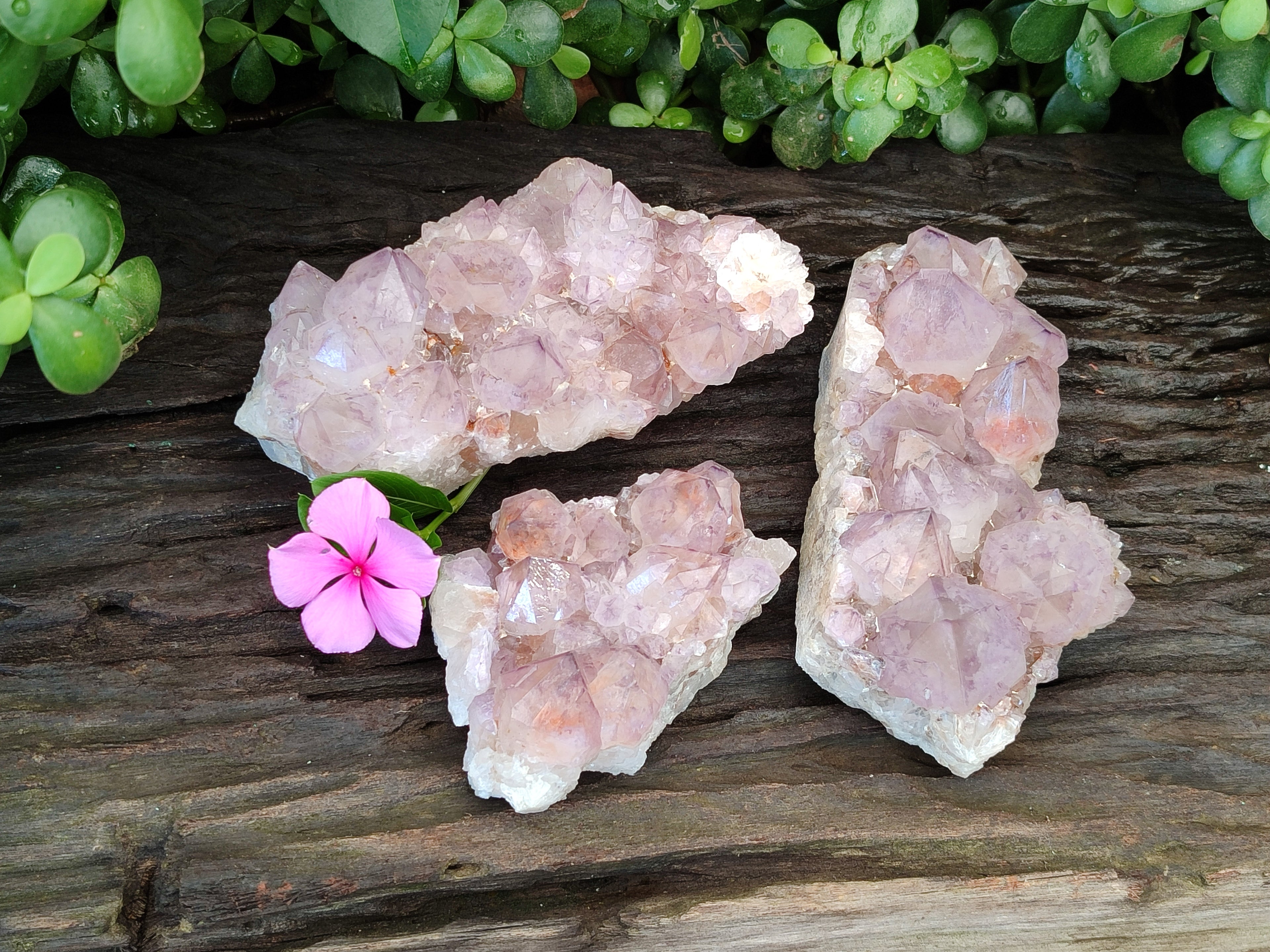 Natural Dark Amethyst Spirit Quartz Clusters x 3 From Boekenhouthoek, South Africa - Toprock Gemstones and Minerals 