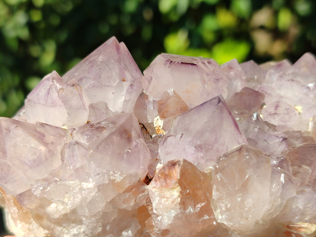 Natural Dark Amethyst Spirit Quartz Clusters x 3 From Boekenhouthoek, South Africa - Toprock Gemstones and Minerals 