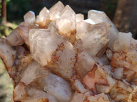 Polished On One Side Red Hematoid Quartz Clusters x 1 From Karoi, Zimbabwe
