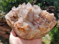 Polished On One Side Red Hematoid Quartz Clusters x 1 From Karoi, Zimbabwe
