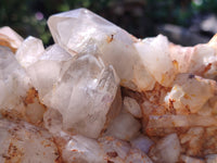 Polished On One Side Red Hematoid Quartz Clusters x 1 From Karoi, Zimbabwe