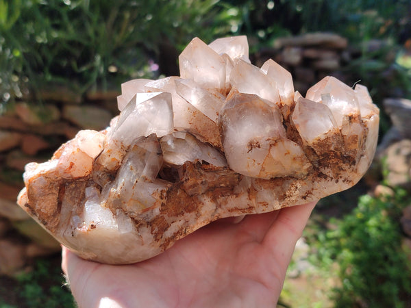 Polished On One Side Red Hematoid Quartz Clusters x 1 From Karoi, Zimbabwe