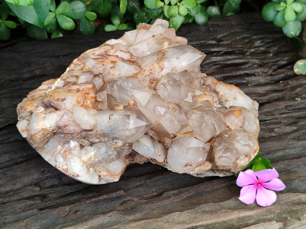 Polished On One Side Red Hematoid Quartz Clusters x 1 From Karoi, Zimbabwe - Toprock Gemstones and Minerals 